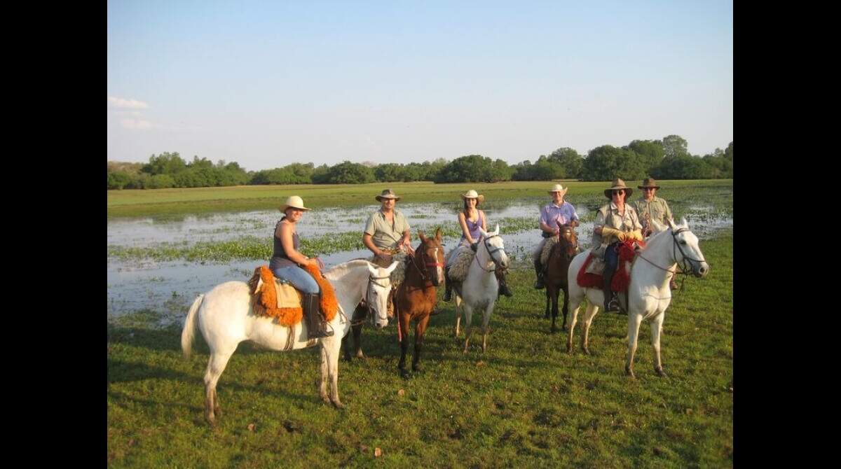 cavalo pulando no pantanal nhecoladia