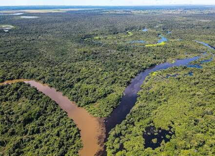 Agrotóxico que preocupa Almir Sater entrou em ação que “ouviu” águas do Pantanal