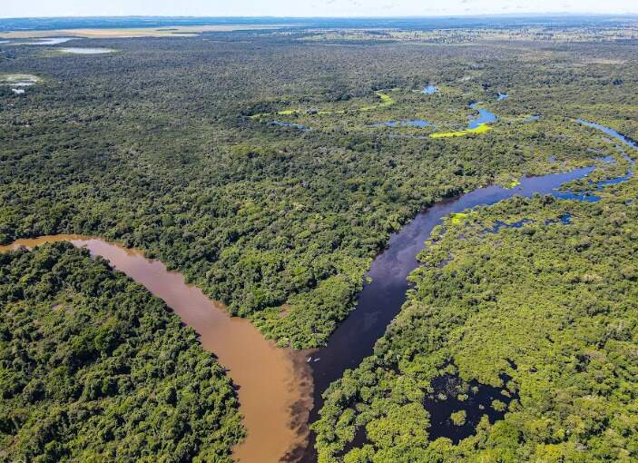 Agrotóxico que alarma Almir Sater é citado em ação que “ouviu” águas do Pantanal