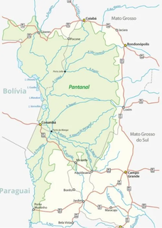 Em verde claro, a delimitação do bioma Pantanal com seus rios abrangendo Mato Grosso e Mato Grosso do Sul. (Foto: IBGE)