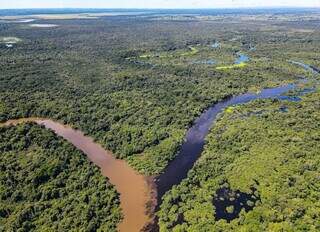Encontro da águas: rios Miranda (à esquerda) e Salobra (à direita). (Foto: Gustavo Figueirôa - SOS Pantanal)
