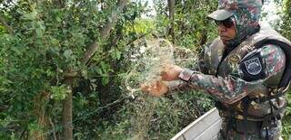 Policial militar apreende apetrechos ilegais em Dourados (Foto: Divulgação/PMA)