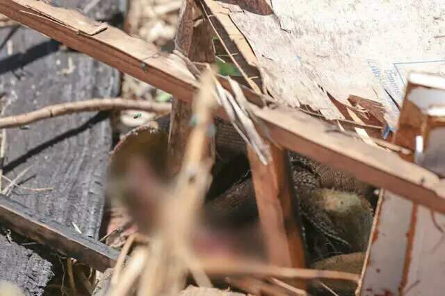 Achado carbonizado era jovem surdo que estava sumido desde domingo