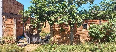 Terrenos abandonados viram transtorno em bairros de Campo Grande