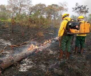 Brigadistas atuando no Pantanal em 2020, ano que incêndios bateram recorde no bioma (Foto: Divulgação/Prefeitura de Alcinópolis)