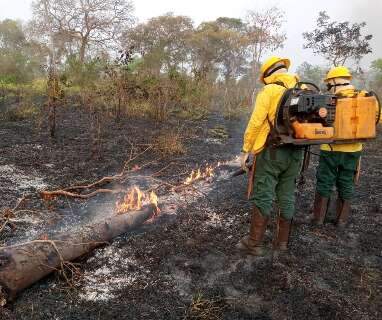 Novo grupo e mais 171 brigadistas vão proteger Pantanal de incêndios