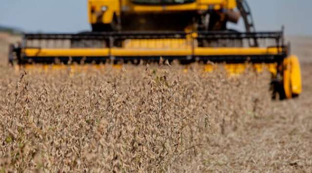 Produção agrícola de MS cresce 10% e deve ultrapassar as 70 milhões de toneladas