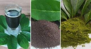 Lista de novos produtos tem extrato líquido, chá em pó e farinha de erva-mate ultrafina. (Foto: Divulgação)