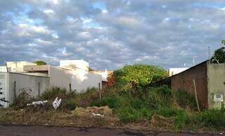 Terreno abandonado localizado na Rua Traíra (foto: Direto das Ruas)