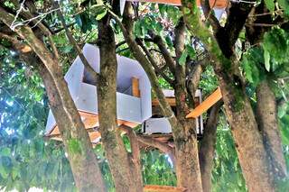 Casas de PVC ficam suspensas em árvores plantadas na calçada. (Foto: Paulo Francis)