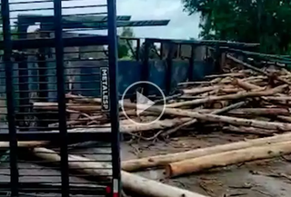 Carreta tombou e toras de eucalipto ficaram espalhadas da rodovia (Foto: reprodução / vídeo)