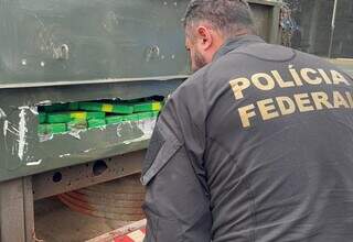 Policial observa tabletes de maconha em fundo falso de caminhão (Foto: Divulgação)