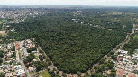 Projeto de tombamento quer frear desmatamento no Parque dos Poderes