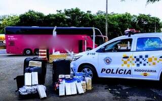 Motorista de ônibus por aplicativo foi preso por tráfico de drogas em Assis. (Foto: Reprodução/Polícia Rodoviária)