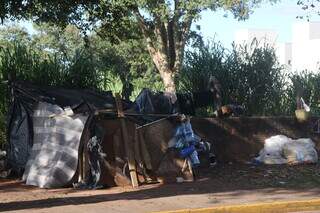 Morador em situação de rua construiu uma casa de papelão para se abrigar (Foto: Paulo Francis)