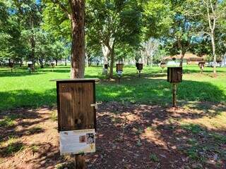 Caixas de abelhas sem ferrão que estão espalhadas no Parque das Nações Indígenas. (Foto: Gabriel de Matos)