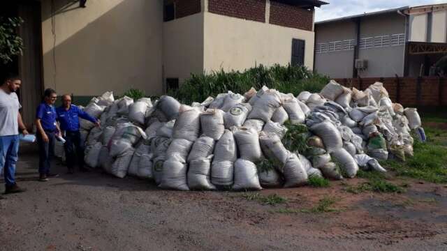 Projeto garante adubo para agricultura familiar em Campo Grande