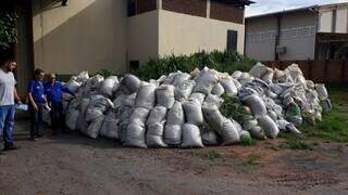 Projeto promete ajudar apequenos agricultores a ter adubo durante os próximos anos (Foto: Sidrago)