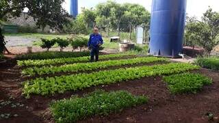 Hortaliças plantadas com adudo doado pelo projeto em anos anteriores (Foto: Sidagro)