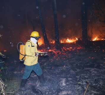 Número de propriedades rurais com risco de incêndio cai lentamente em MS