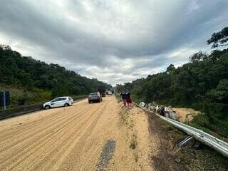 Local do acidente na BR-376; bitrem carregado com soja tombou e caiu na ribanceira (Foto: PRF)