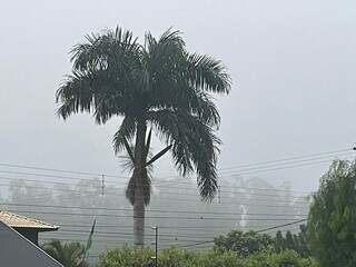 Neblina registrada em Maracaju (Foto: Hosana de Lourdes/TudodoMS)