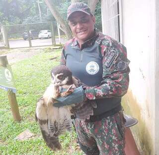 Policial segura coruja, ameaçada de extinção (Foto: Divulgação/PMA)