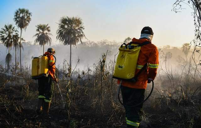 Relat&oacute;rio registra redu&ccedil;&atilde;o de 88% de &aacute;reas queimadas em regi&atilde;o do Pantanal