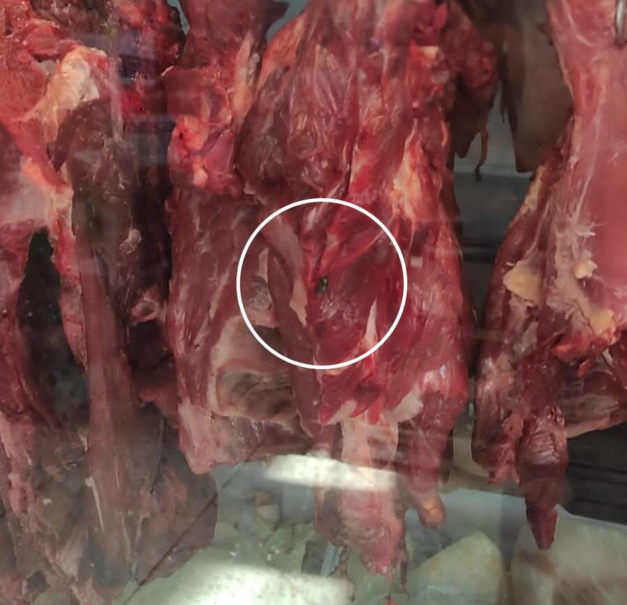 Açougue é fechado por vender 452 kg de carne com moscas 