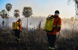 Brigadistas em campo, no combate aos incêndios no Pantanal. (Foto: Divulgação)