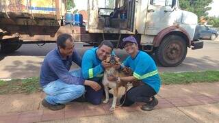 Equipe de tapa-buraco encontra cachorro amarrado em poste e adota animal