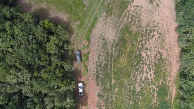 Desmatamento do Cerrado de MS &eacute; o maior desde 2019, aponta Inpe