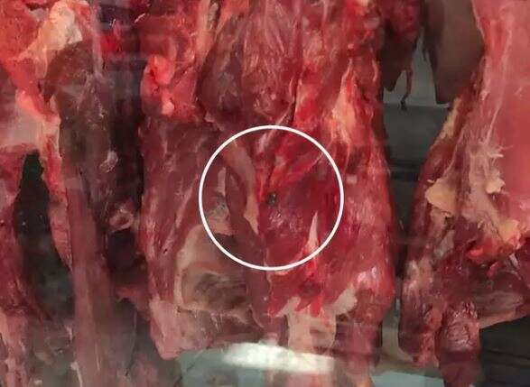 Comerciante preso com meia tonelada de carne vendida com mosca paga fian&ccedil;a