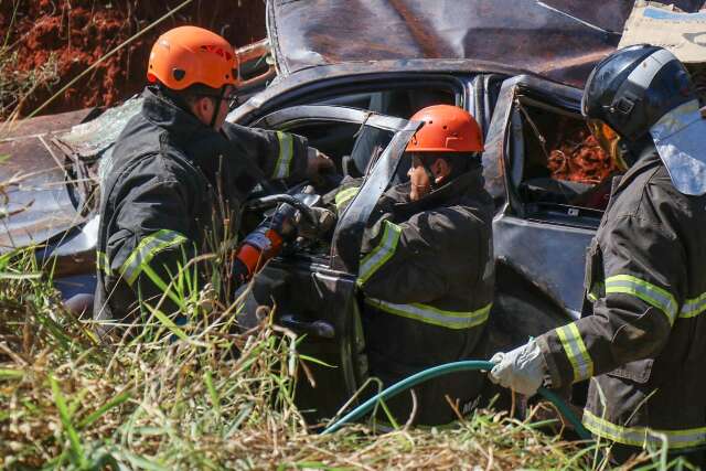 Idoso morre ap&oacute;s caminhonete bater em anta e capotar em rodovia