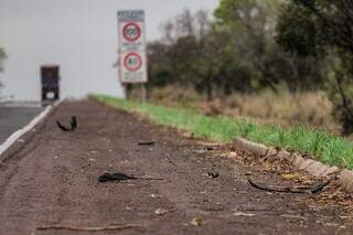 Carcaças de pneus à margem da rodovia comprovam os prejuízos dos caminhoneiros (Foto: Marcos Maluf)