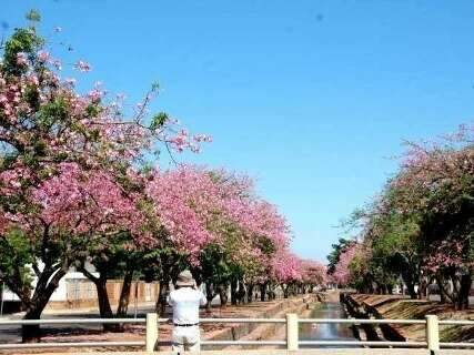 Capital recebe avaliação máxima de turismo e Bonito fica em segundo lugar