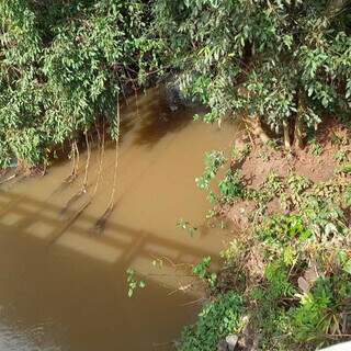 Riacho onde corpo de homem foi encontrado (Foto: Direto das Ruas)