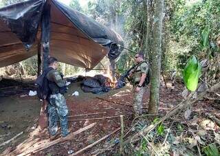 Agentes da Senad acompanham destruição de maconha em acampamento no meio da mata (Foto: Divulgação)