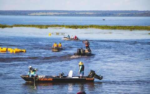 Piranhas voltam a atacar banhistas e balneário é fechado para limpeza