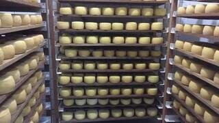 Expectativa é de que quatro toneladas de queijo sejam comercializadas. (Foto: Divulgação/PMCG)