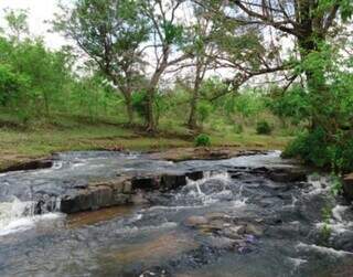 Córrego Ceroula: maior área de preservação da cidade e cheia de belezas naturais. (Fotos: Cartilha Plano de Manejo)