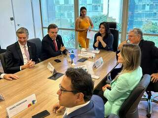Representantes de Mato Grosso do Sul durante reunião com ministros, em Brasília. (Foto: Reprodução/Assessoria de Imprensa)
