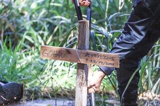 Cruz indicando de quem é o corpo enterrado em terreno no Autonomista: um cachorro de nome Gohan. (Foto: Marcos Maluf/Arquivo)