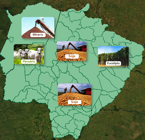 Mato Grosso do Sul troca &ldquo;boi-soja&rdquo; por &ldquo;celulose-soja&rdquo;: veja o mapa produtivo 