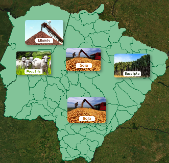Mato Grosso do Sul troca “boi-soja” por “celulose-soja”: veja o mapa produtivo 