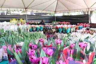 Na v&eacute;spera do Dia das M&atilde;es, Centro fica lotado e tem at&eacute; floricultura itinerante