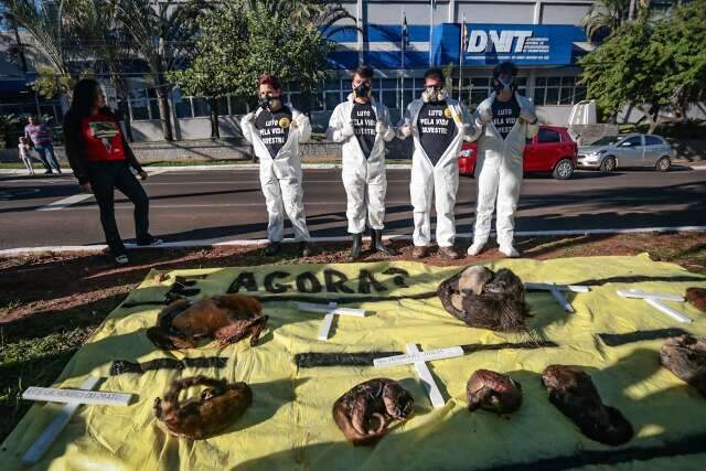 Animais mortos s&atilde;o estendidos em frente ao Dnit cobrando a&ccedil;&atilde;o esperada h&aacute; 1 ano