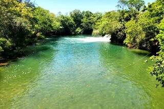 Rio Formoso, em Bonito, é exemplo monitorado por comitê. (Foto: Reprodução/Imasul)