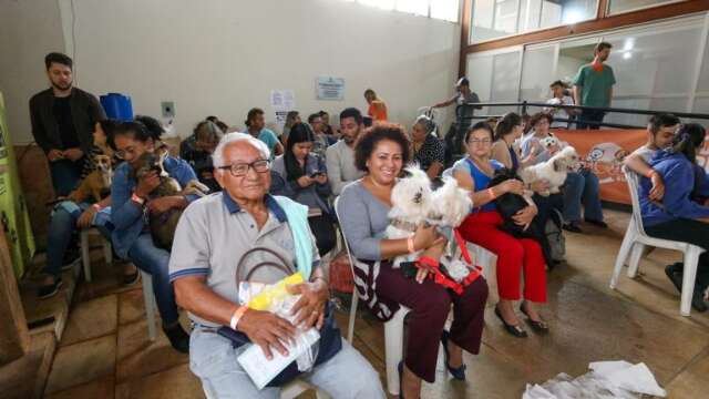 Com 200 vagas, Capital ter&aacute; plant&atilde;o de castra&ccedil;&atilde;o para c&atilde;es e gatos