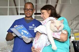 Gato recebe atendimento veterinário na Ubea, em Campo Grande. (Foto: Divulgação/Prefeitura)